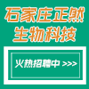 石家莊正然生物科技有限公司