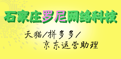 石家莊羅尼網(wǎng)絡(luò)科技有限公司