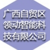 廣西自貿(mào)區(qū)領(lǐng)動智能科技有限公司