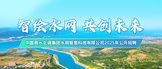 http://nsbdswzk.zhaopin.com/