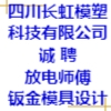 四川長虹模塑科技有限公司