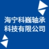 海寧科巍軸承科技有限公司
