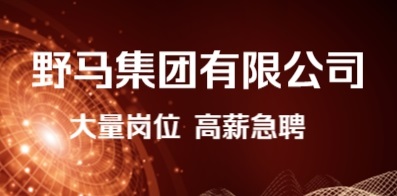 野马集团有限公司