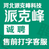 河北派克峰科技有限公司
