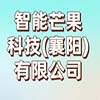 智能芒果科技(襄陽)有限公司
