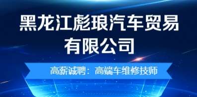 黑龍江彪瑯汽車貿(mào)易有限公司