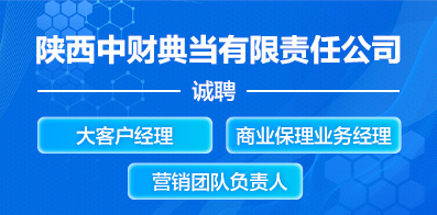 陜西中財?shù)洚?dāng)有限責(zé)任公司 陜西中財?shù)洚?dāng)有限責(zé)任公司