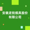 安徽龍銳模具股份有限公司