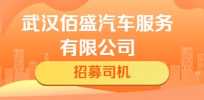 武漢佰盛汽車服務有限公司