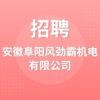 安徽阜陽風勁霸機電有限公司