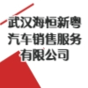 武漢海恒新粵汽車銷售服務有限公司