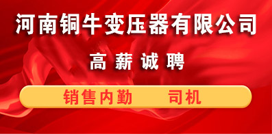 河南铜牛变压器有限公司