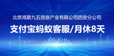 北京鸿联九五信息产业有限公司西安分公司