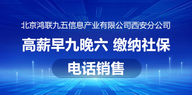 北京鸿联九五信息产业有限公司西安分公司