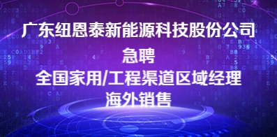 廣東紐恩泰新能源科技股份有限公司