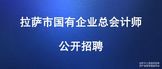 https://lsgzw2026.zhaopin.com