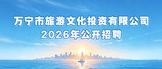 https://wnlywhtz.zhaopin.com