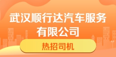 武汉顺行达汽车服务有限公司