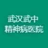 武汉武中精神病医院