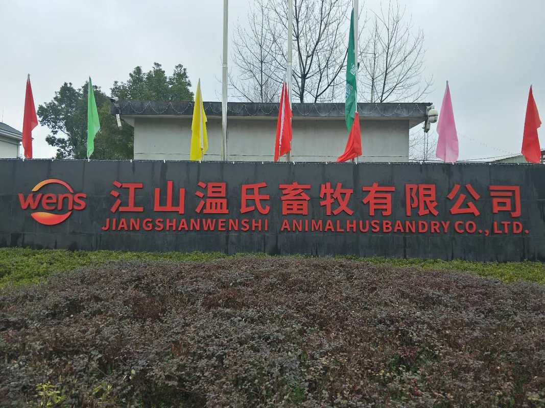 相册图片1