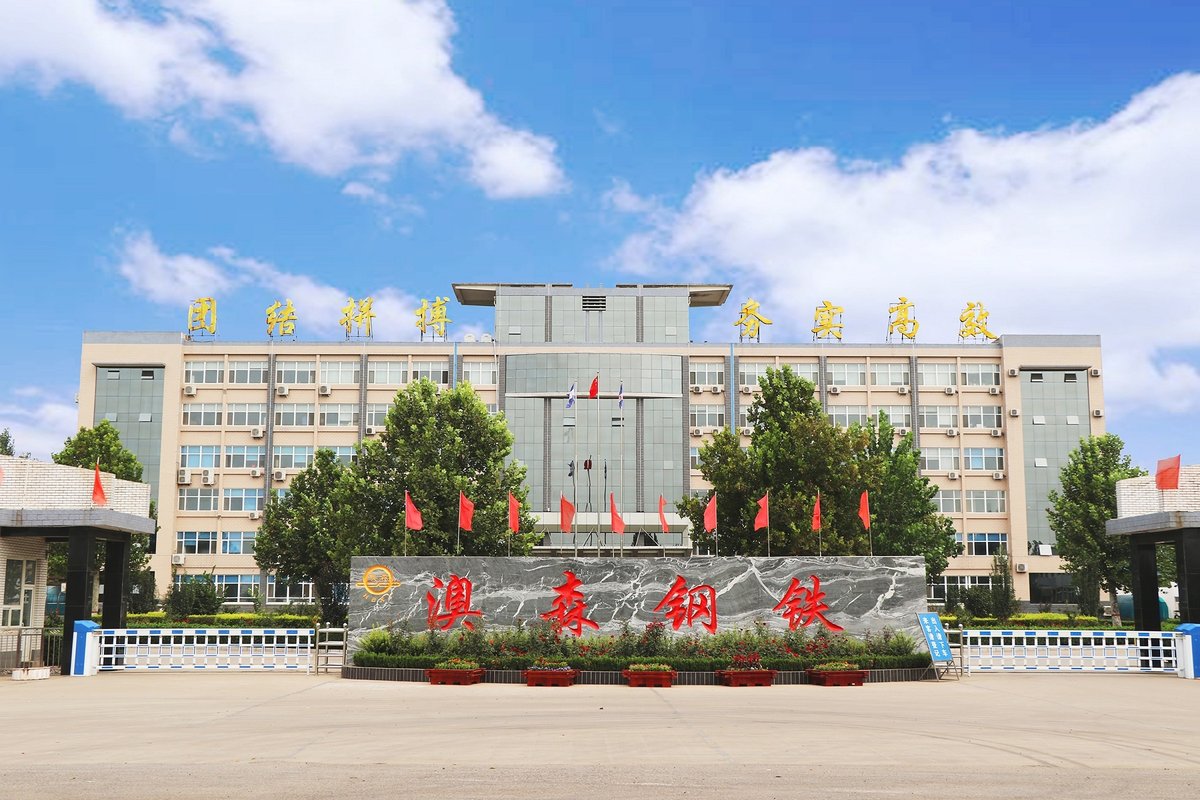 辛集市澳森钢铁集团有限公司