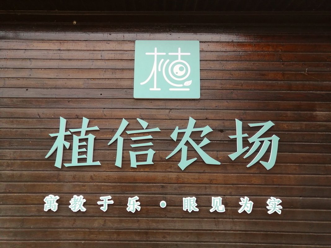 公司图片1