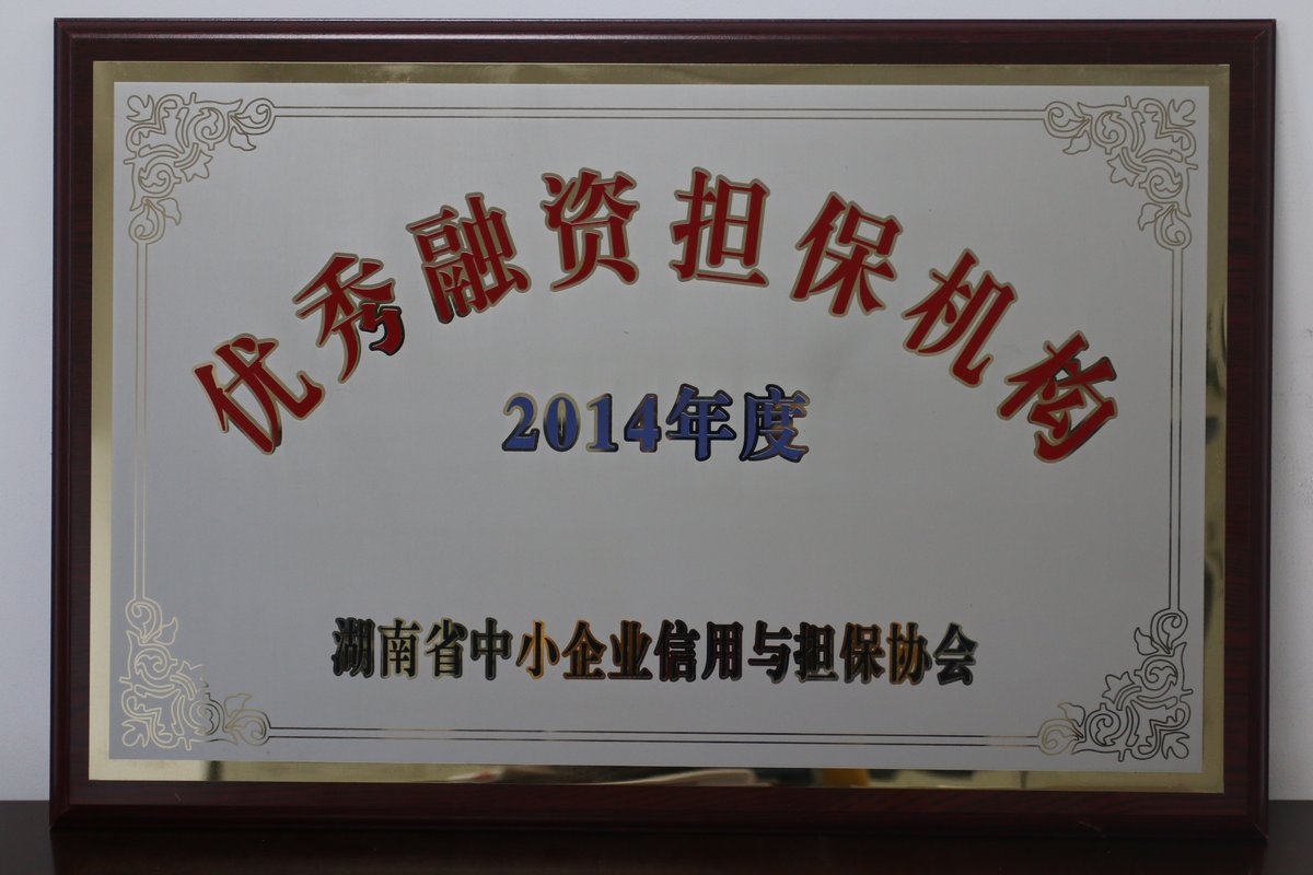 长沙经济技术开发区融资担保有限公司