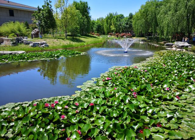 北京圣罗莎园林绿化有限公司