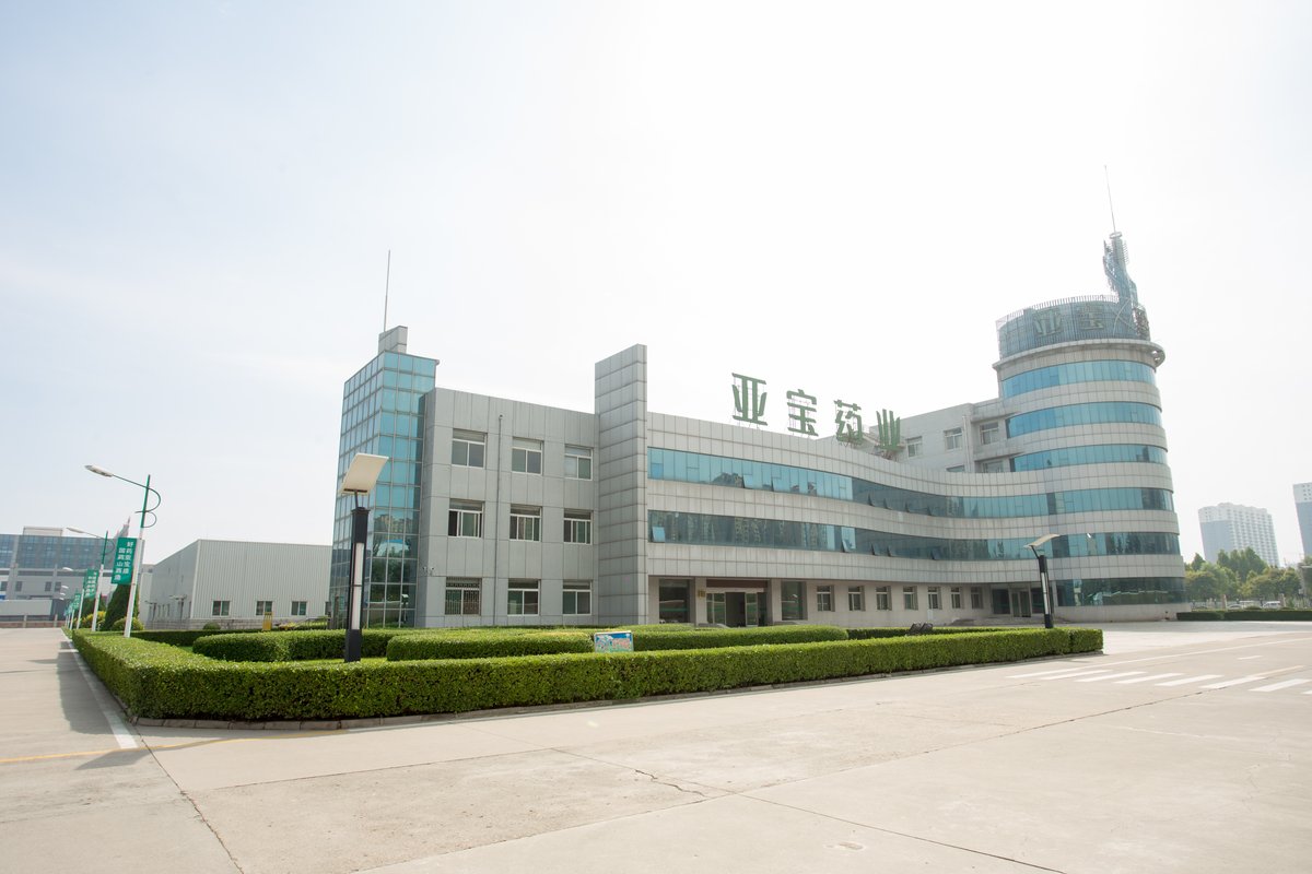 亚宝药业太原制药有限公司