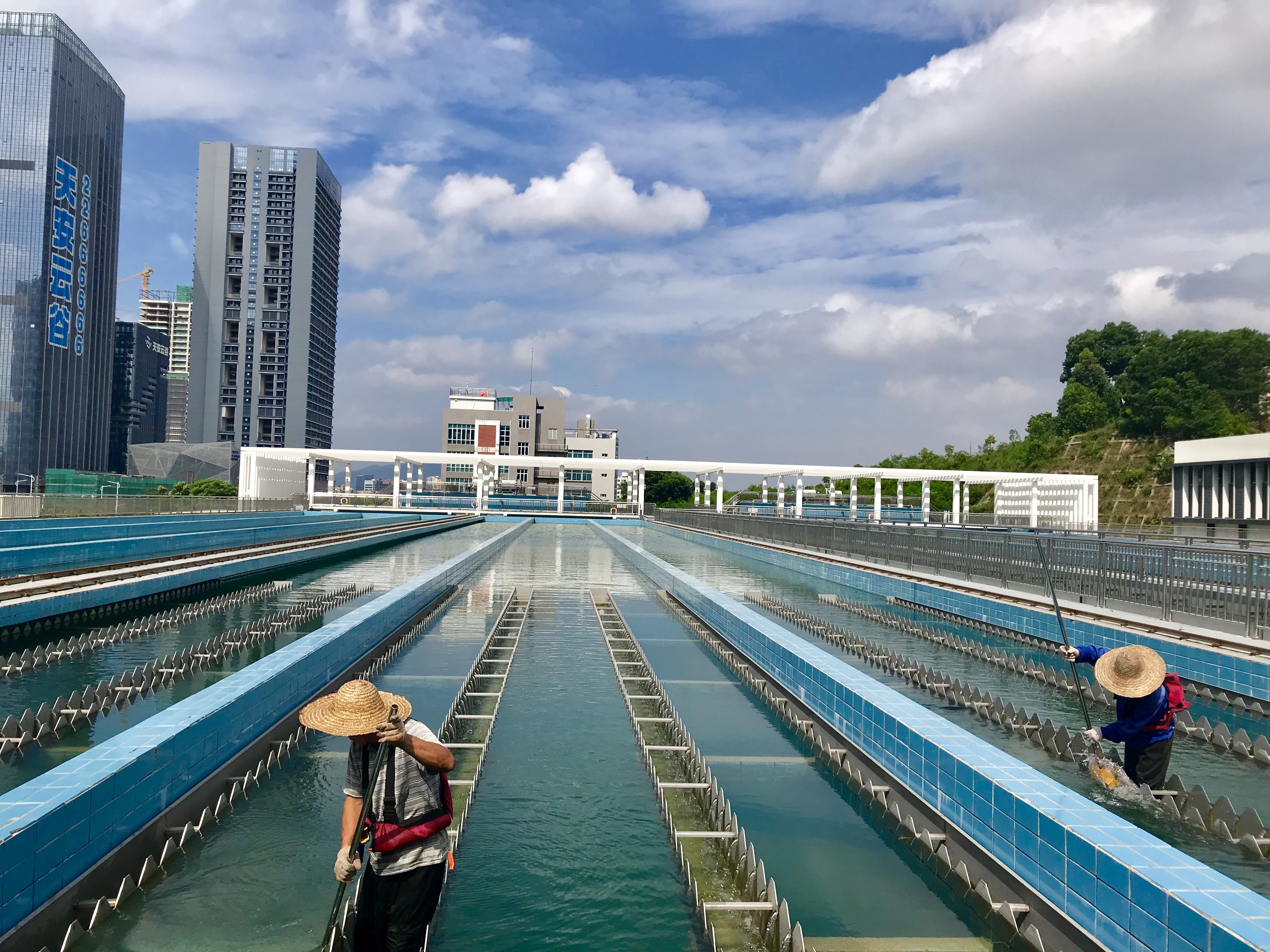 深圳市布吉供水有限公司招聘信息