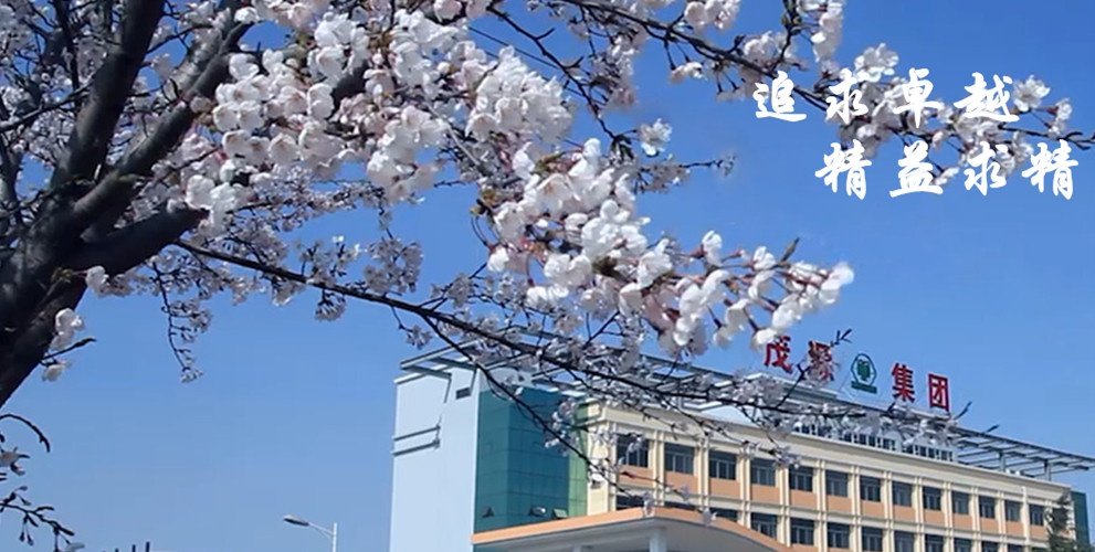 青岛金茂源钢结构工程有限公司招聘 - 智联招聘