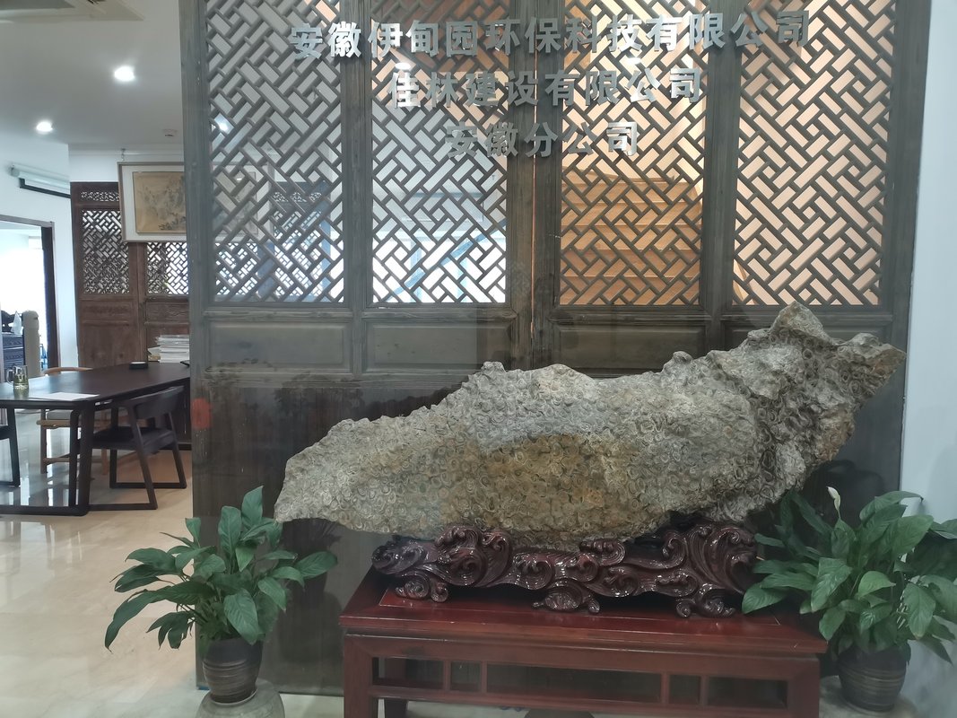 相册图片1