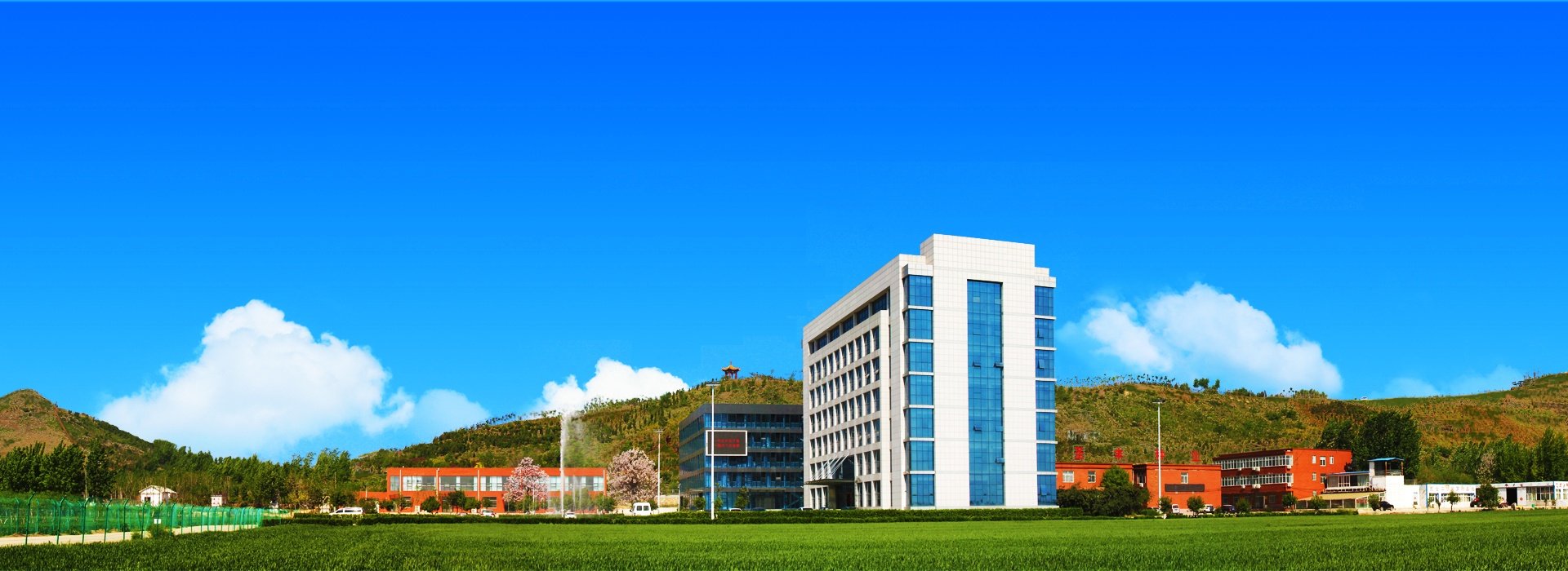 山东圣丰种业科技有限公司