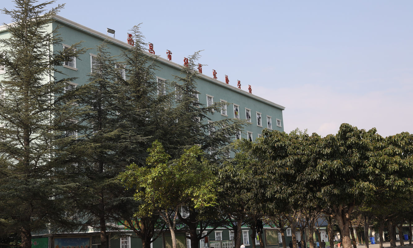 奖金出国游免费停车加班补助公司奖项西昌市绿荫学校招聘职位很抱歉