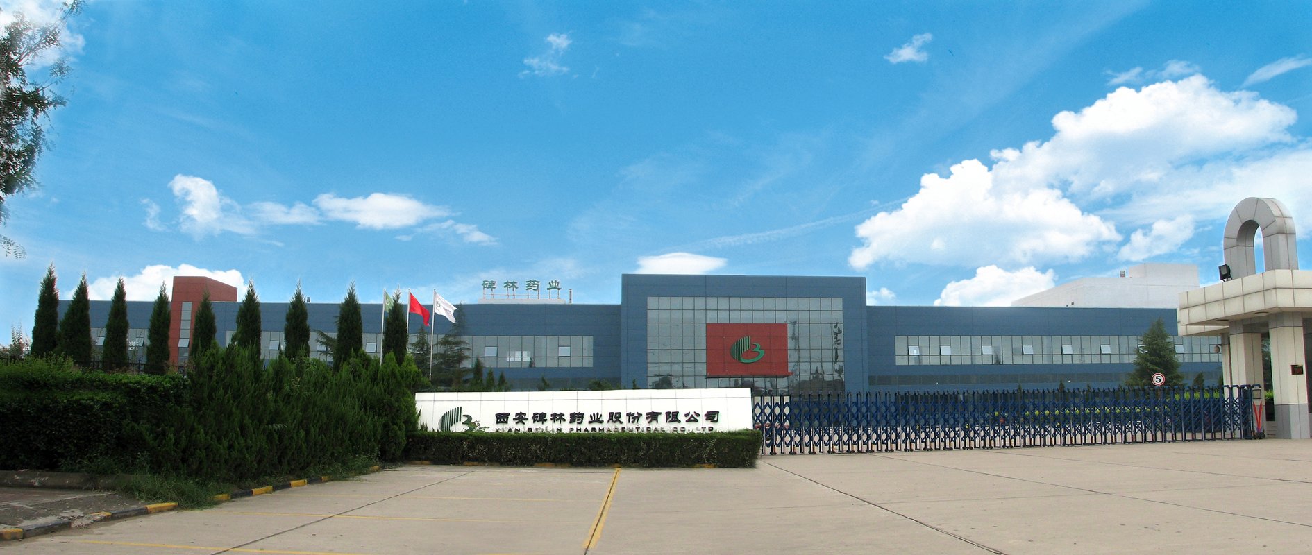 西安碑林药业股份有限公司