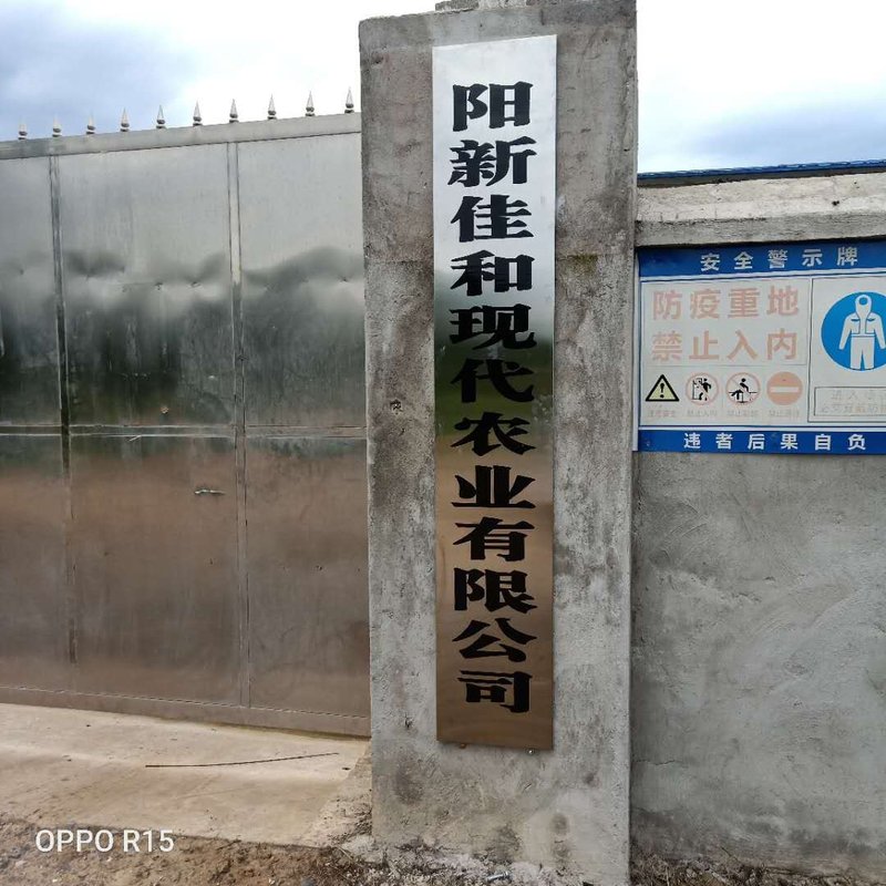 相册图片1