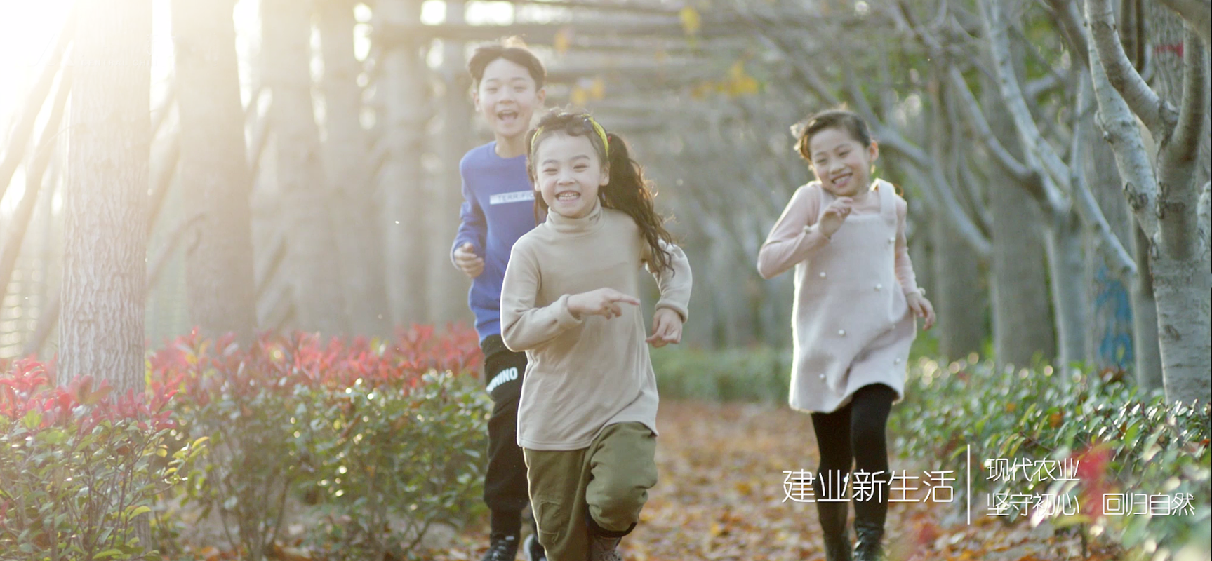 相册图片3