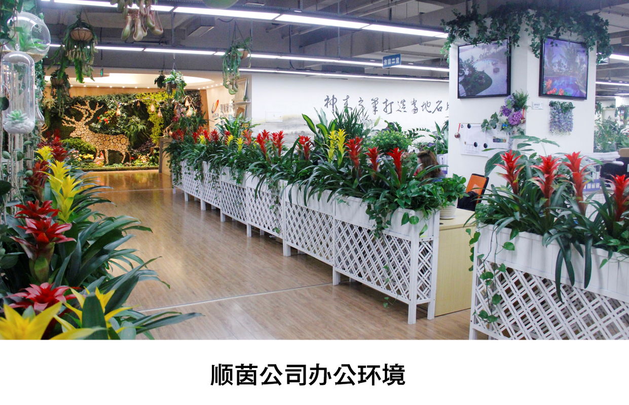 佛山市顺德区顺茵绿化设计工程有限公司