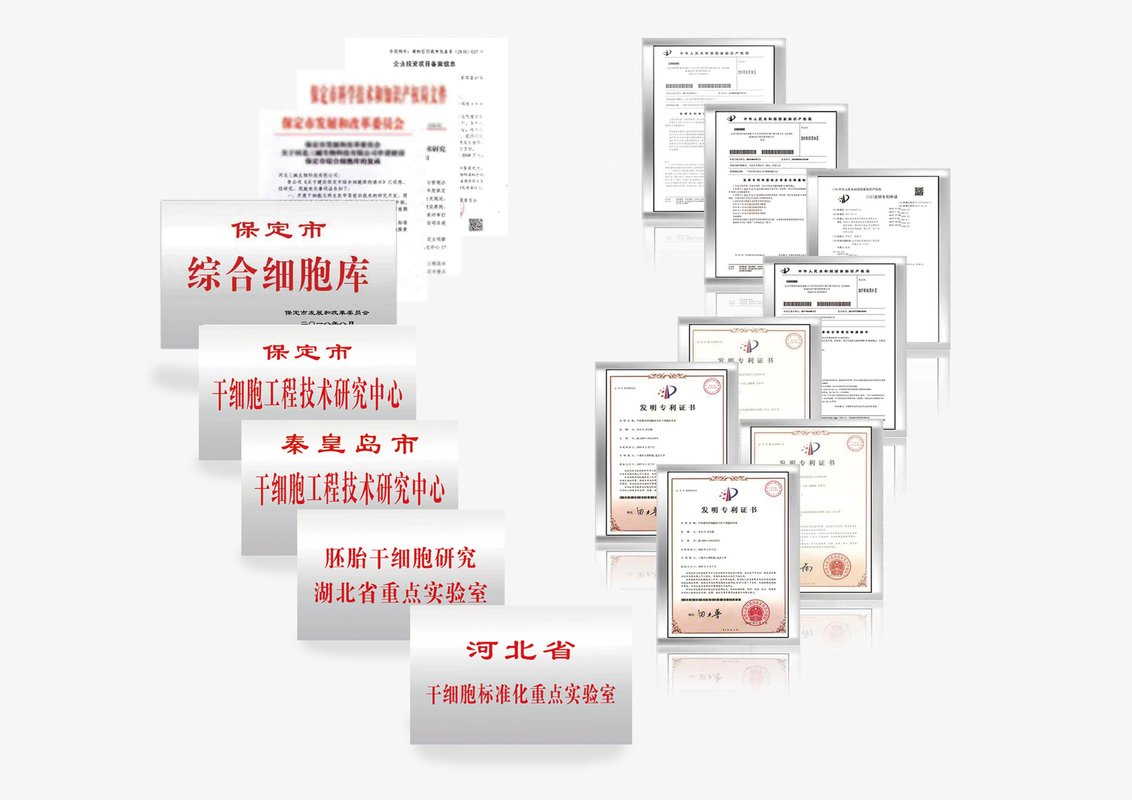相册图片3