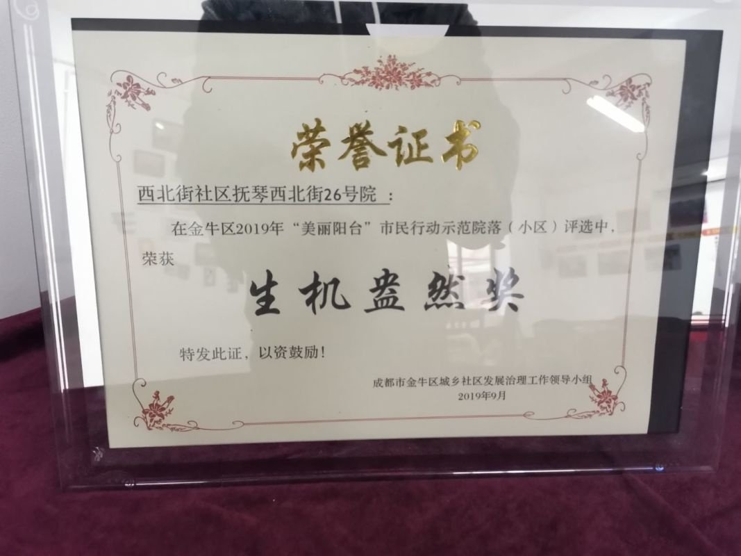 公司图片4