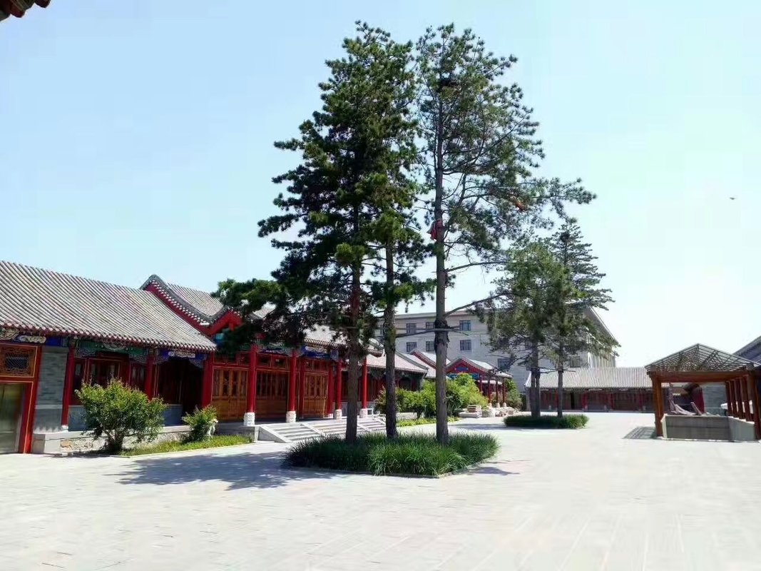 相册图片3