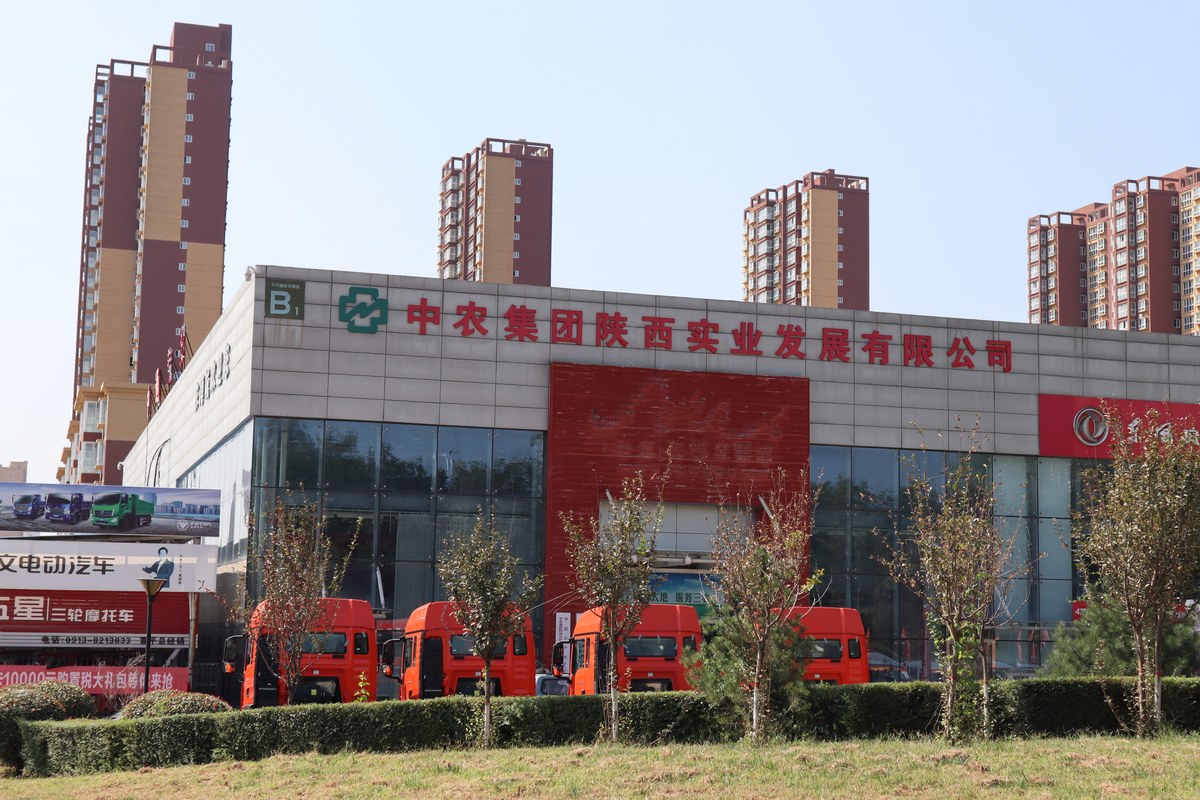 相册图片1