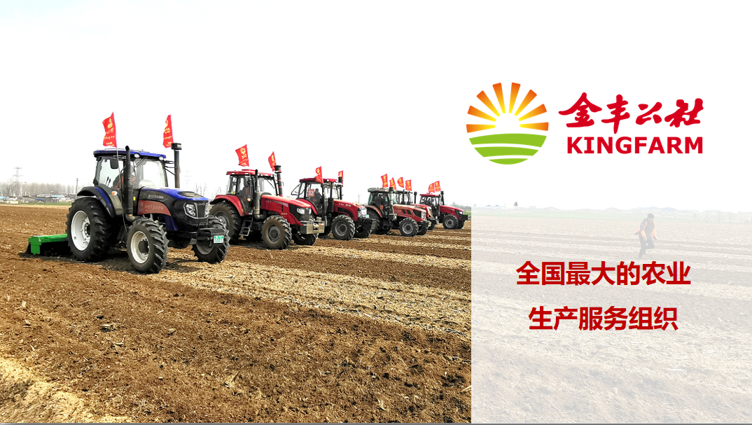 金丰公社农业服务有限公司