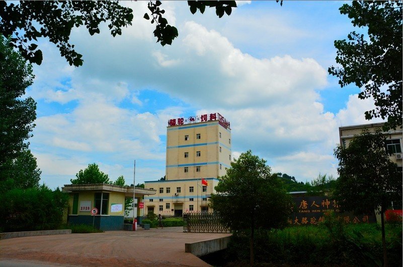 相册图片2