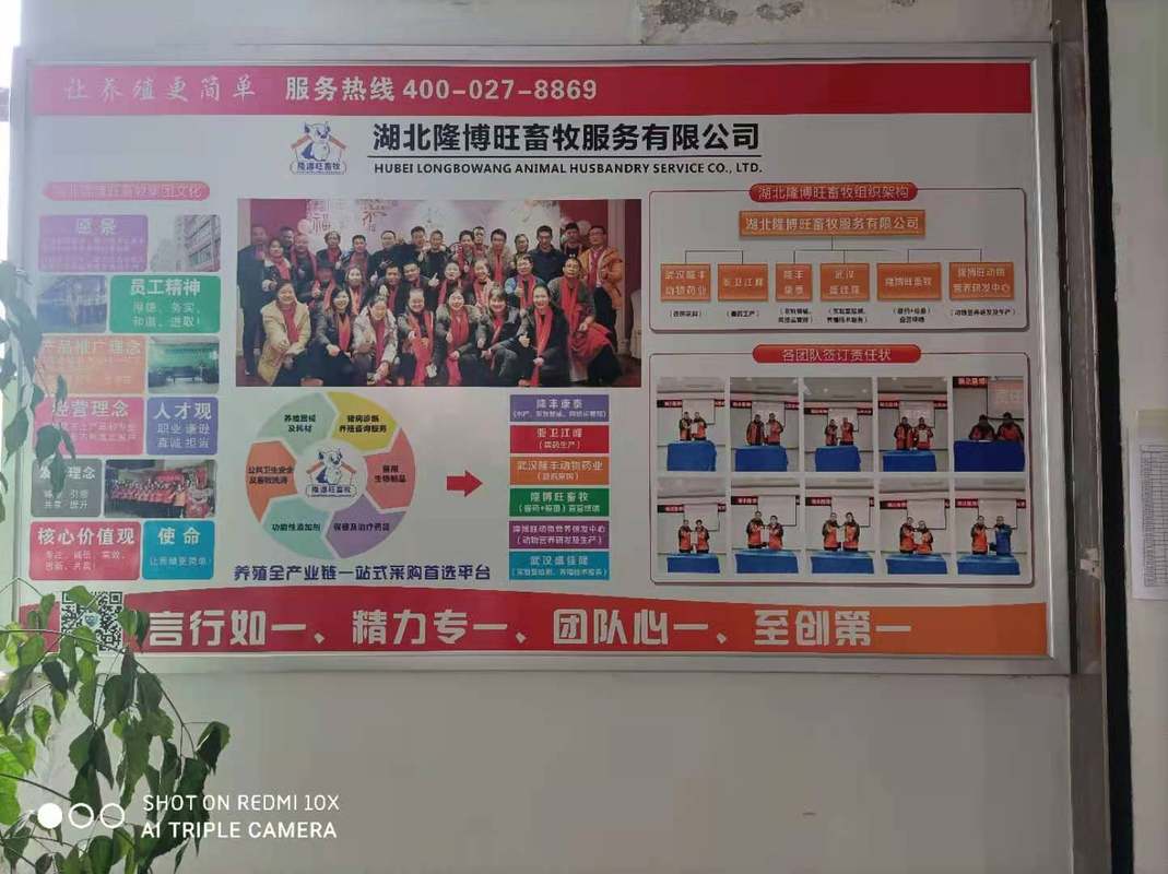 相册图片3