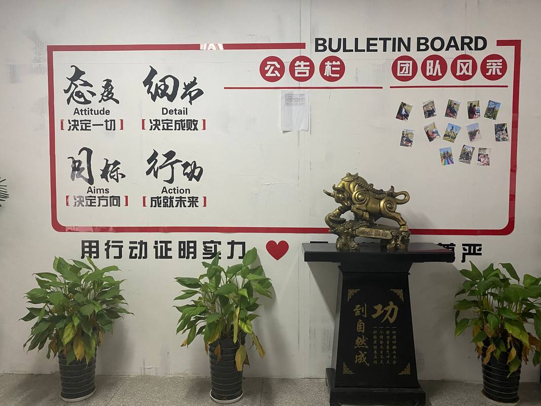 相册图片4
