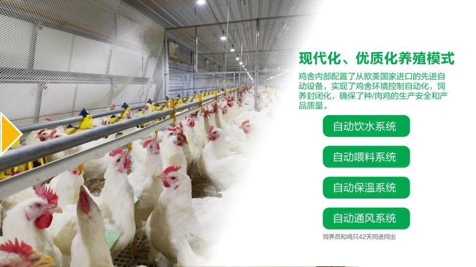 相册图片3