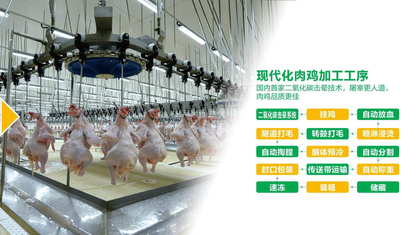 相册图片4