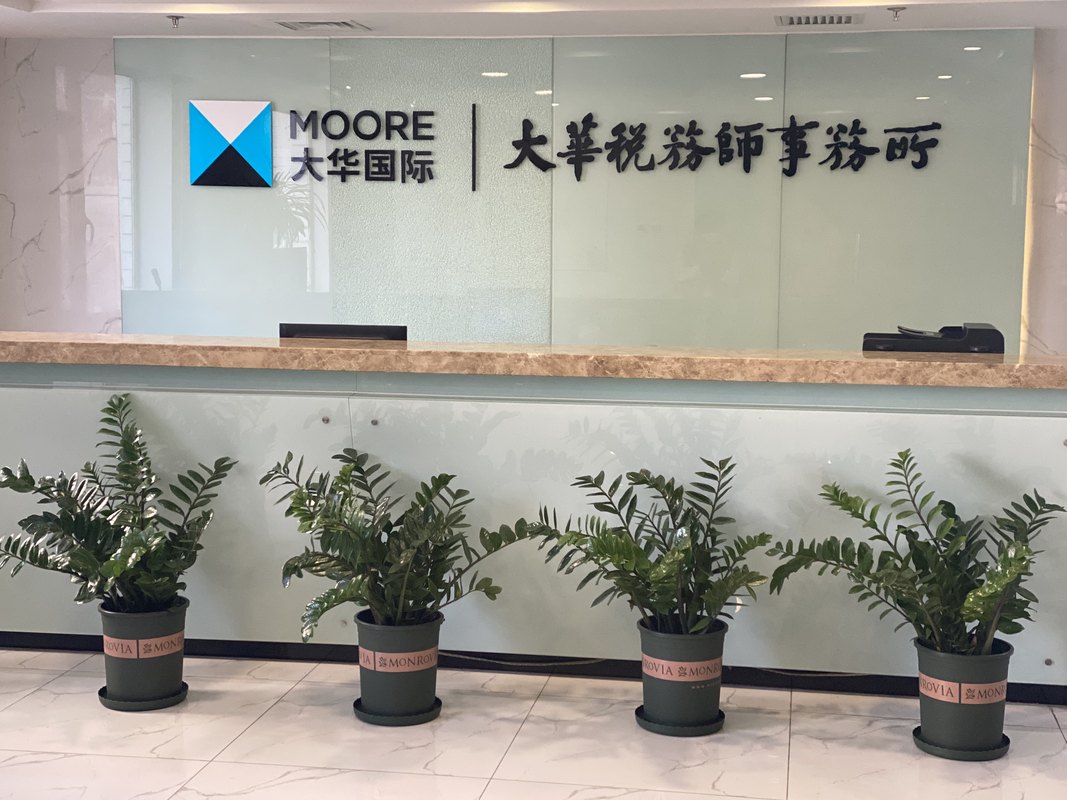 大华(北京)税务师事务所有限公司