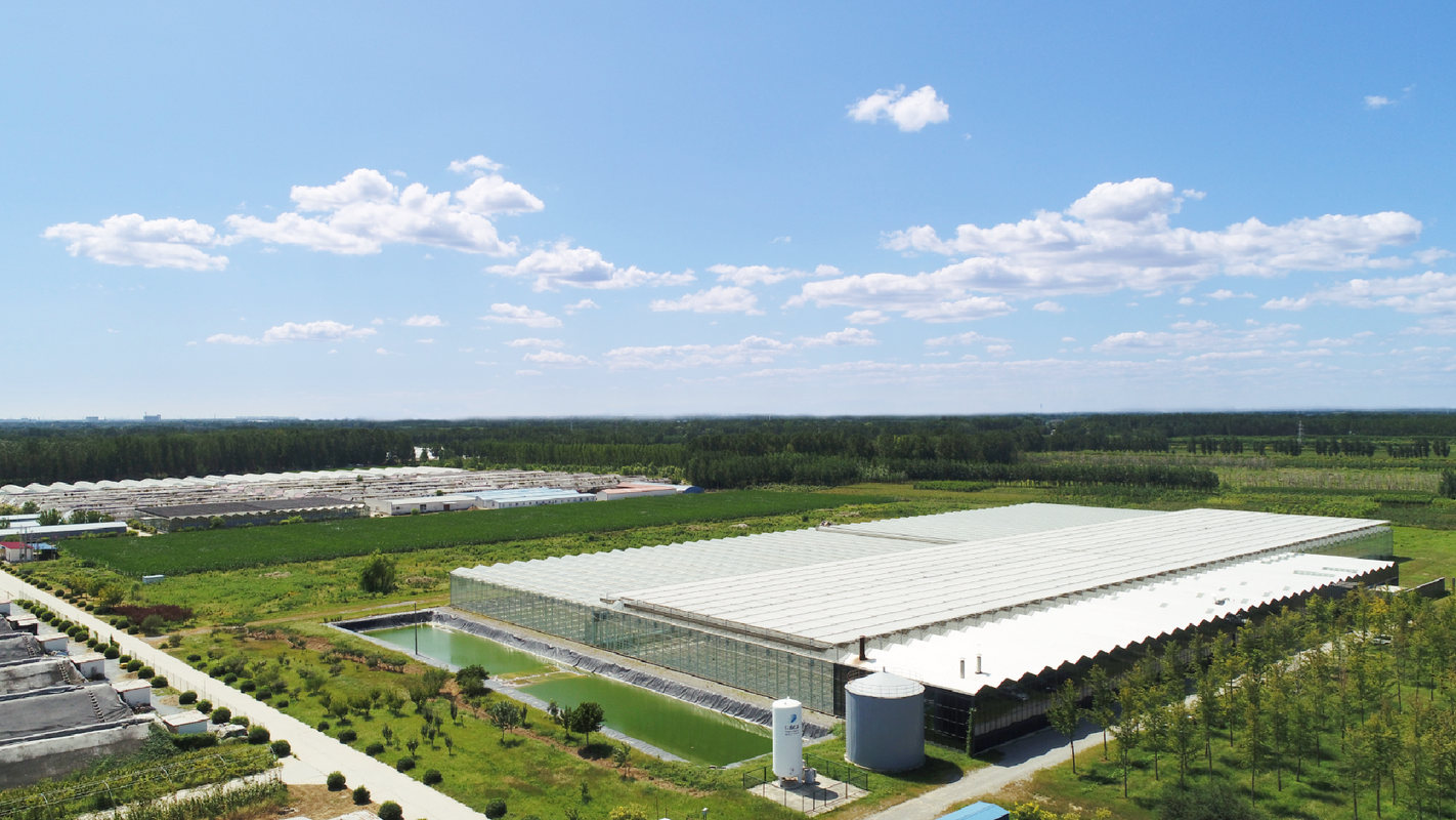 道法自然河北农业发展有限公司